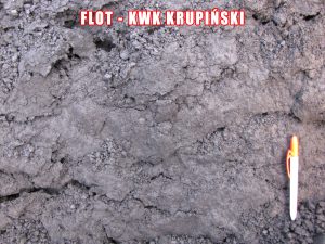 Flot - KWK Krupiński