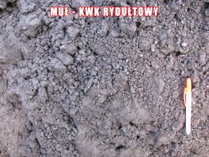 Muł - KWK Rydułtowy