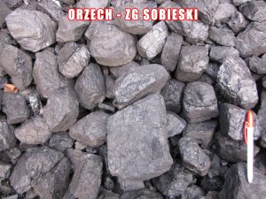 Orzech - ZG Sobieski